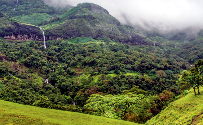 Tamhini Ghat Maharashtra Monsoon