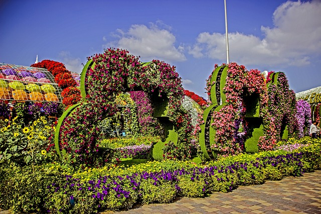 Dubai Miracle Garden