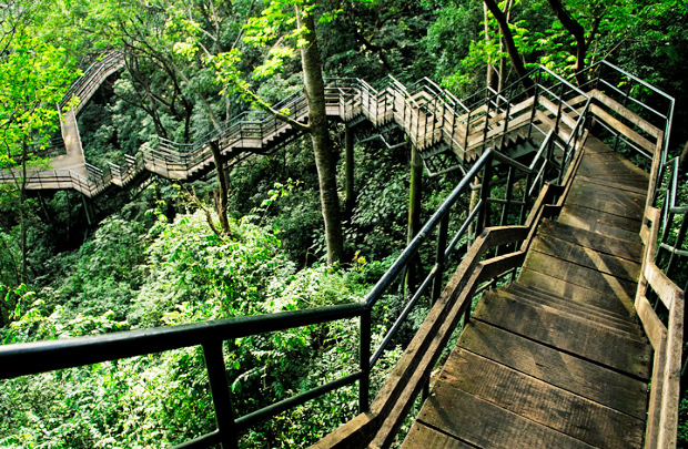 Thenmala forest kerala